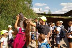 IMG-20170718-WA0088-Copy